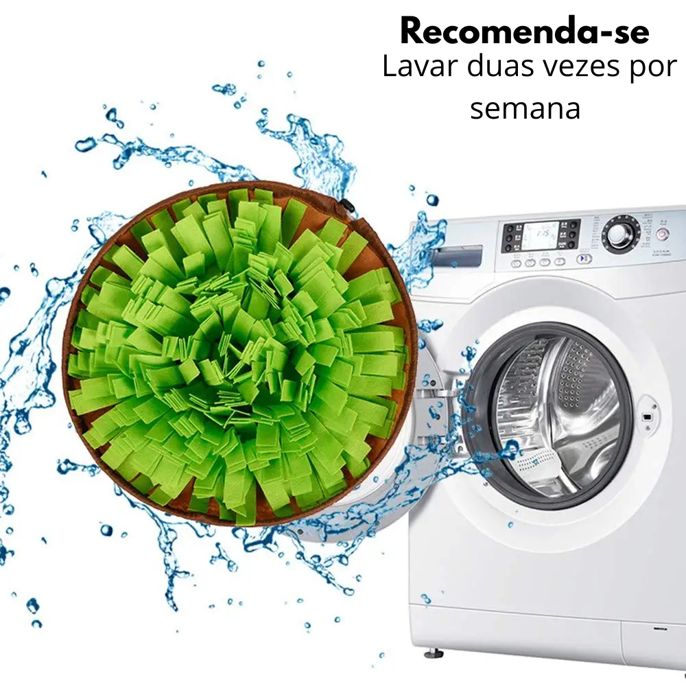CarrotGarden™ – Jardim Olfativo Anti-Ansiedade