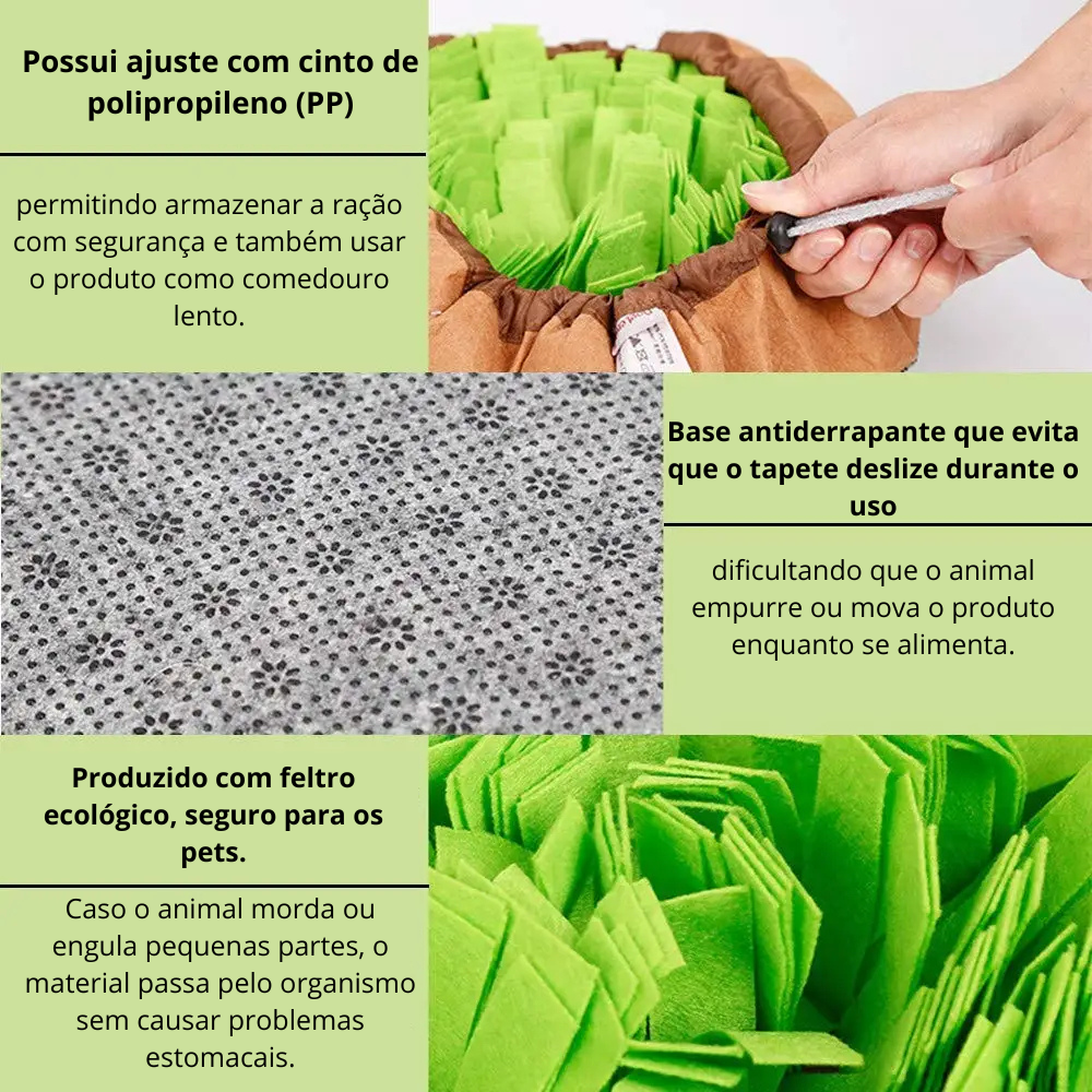 CarrotGarden™ – Jardim Olfativo Anti-Ansiedade