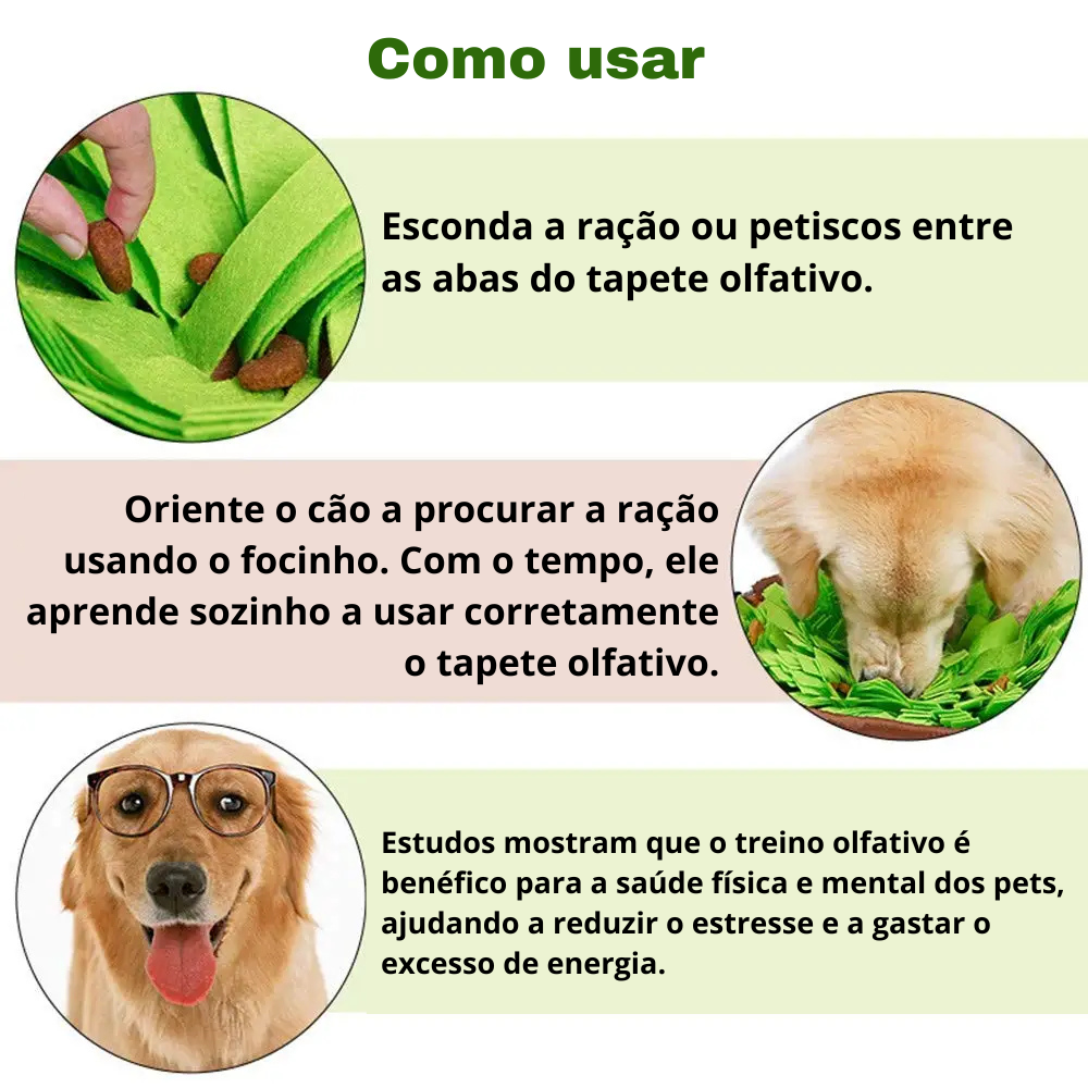 CarrotGarden™ – Jardim Olfativo Anti-Ansiedade