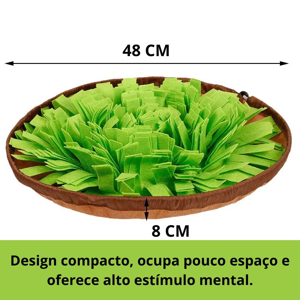 CarrotGarden™ – Jardim Olfativo Anti-Ansiedade