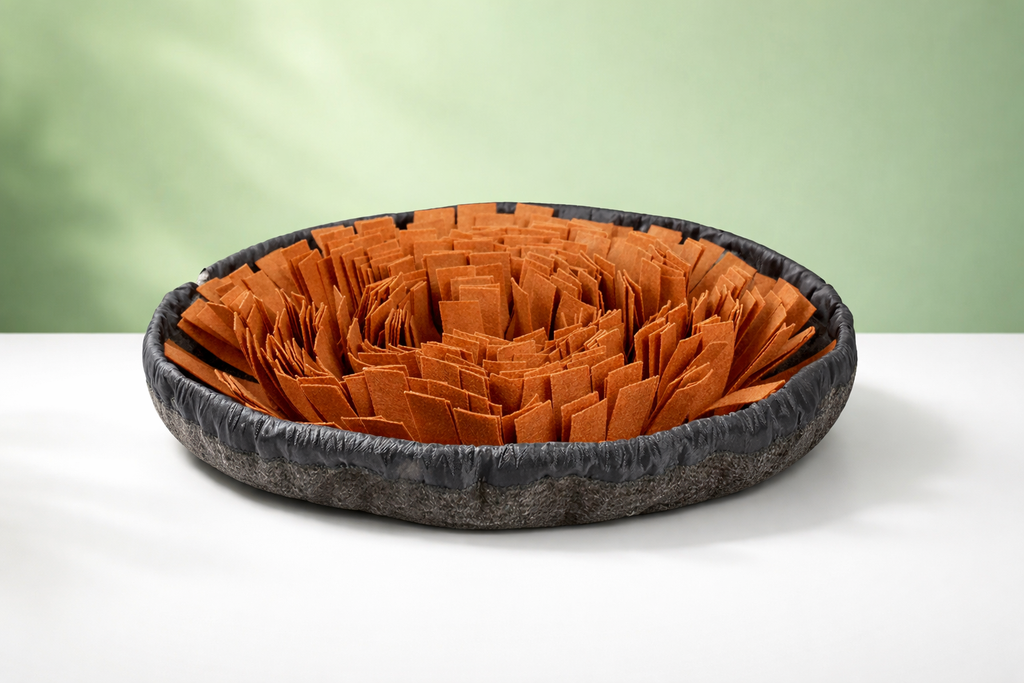 CarrotGarden™ – Jardim Olfativo Anti-Ansiedade