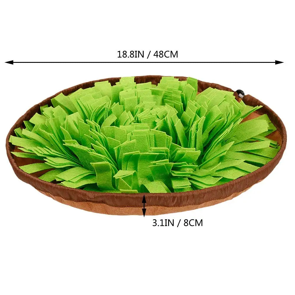 CarrotGarden™ – Jardim Olfativo Anti-Ansiedade