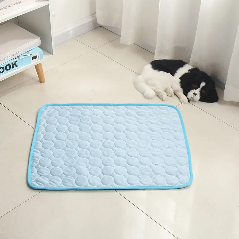 CoolPaw™ – Manta Termorreguladora Anti-Estresse